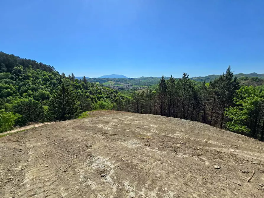 Immagine 23 di Rustico / casale in vendita  in Località Baciuccaro a Sant'angelo In Vado