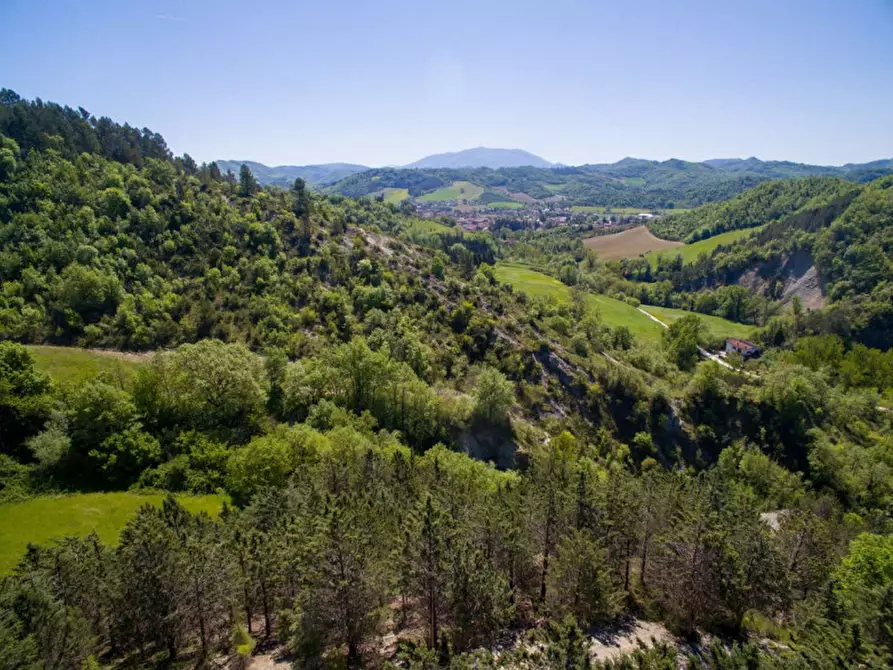 Immagine 24 di Rustico / casale in vendita  in Località Baciuccaro a Sant'angelo In Vado