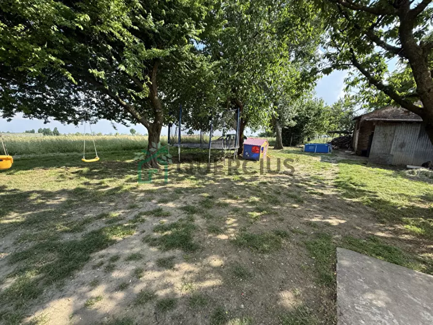 Immagine 2 di Casa indipendente in vendita  in Via Croce a Cologna Veneta