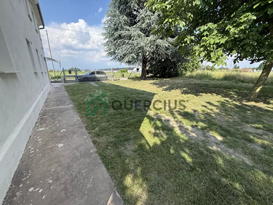 Immagine 29 di Casa indipendente in vendita  in Via Croce a Cologna Veneta