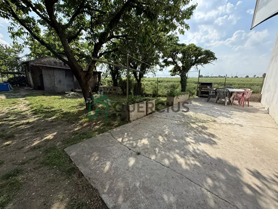 Immagine 31 di Casa indipendente in vendita  in Via Croce a Cologna Veneta