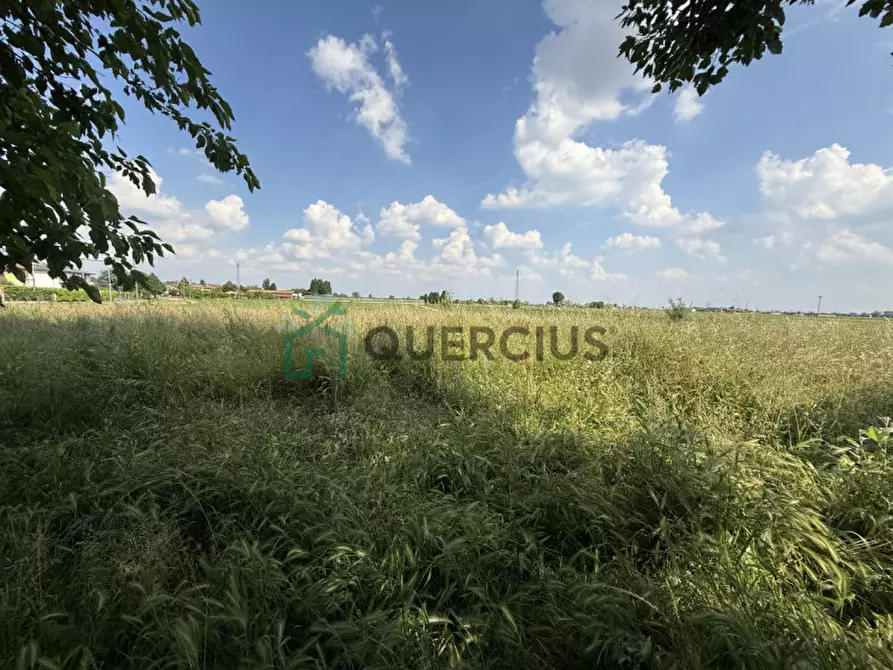 Immagine 34 di Casa indipendente in vendita  in Via Croce a Cologna Veneta