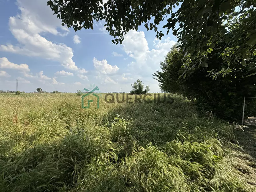 Immagine 35 di Casa indipendente in vendita  in Via Croce a Cologna Veneta