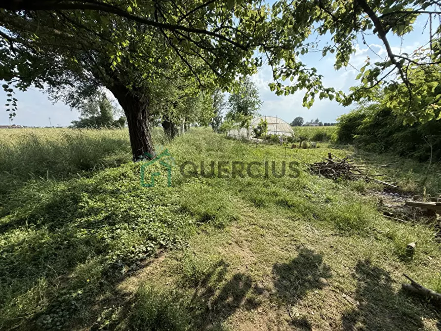 Immagine 40 di Casa indipendente in vendita  in Via Croce a Cologna Veneta