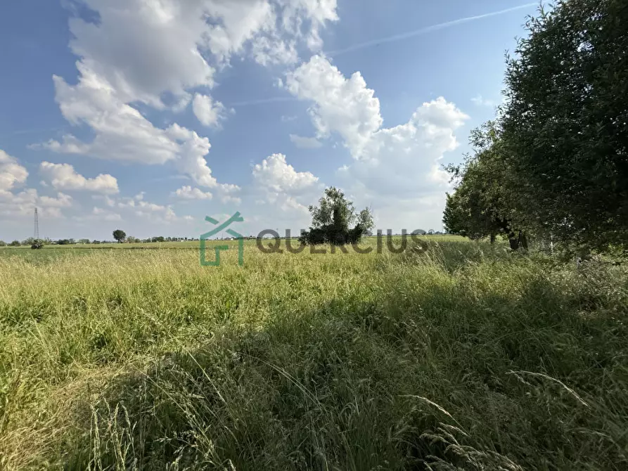 Immagine 42 di Casa indipendente in vendita  in Via Croce a Cologna Veneta
