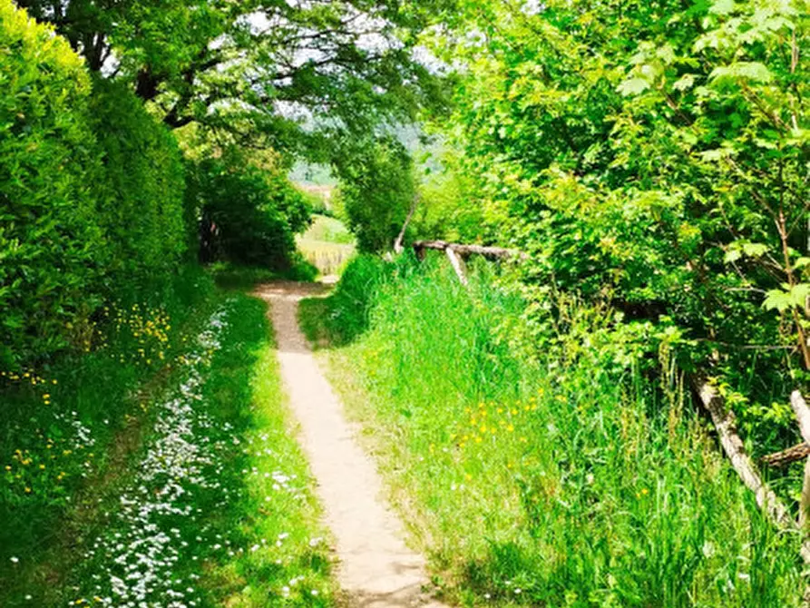 Immagine 5 di Rustico / casale in vendita  in Via Costanzo 21 a Teolo