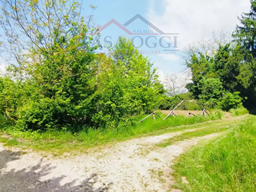 Immagine 6 di Rustico / casale in vendita  in Via Costanzo 21 a Teolo