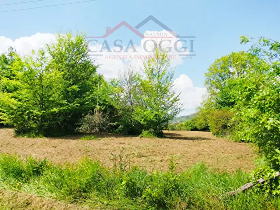 Immagine 7 di Rustico / casale in vendita  in Via Costanzo 21 a Teolo