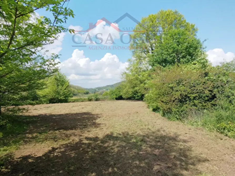 Immagine 12 di Rustico / casale in vendita  in Via Costanzo 21 a Teolo