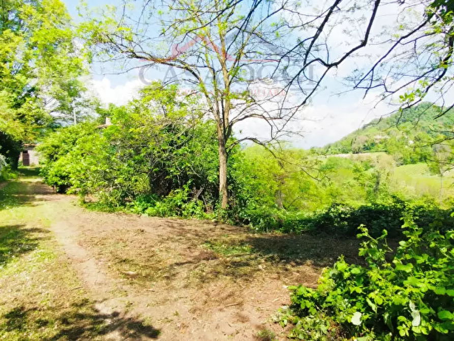 Immagine 13 di Rustico / casale in vendita  in Via Costanzo 21 a Teolo