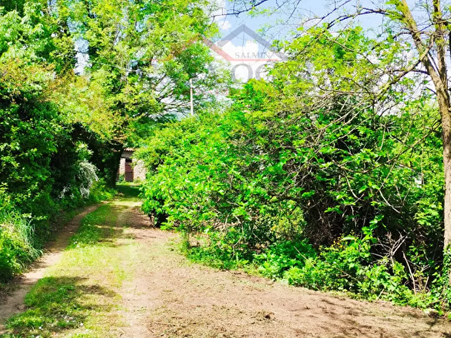 Immagine 14 di Rustico / casale in vendita  in Via Costanzo 21 a Teolo