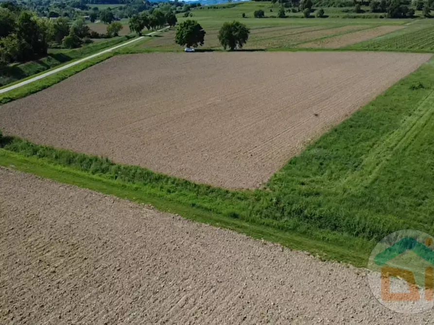 Immagine 1 di Terreno in vendita  in Via Blanchis a Mossa