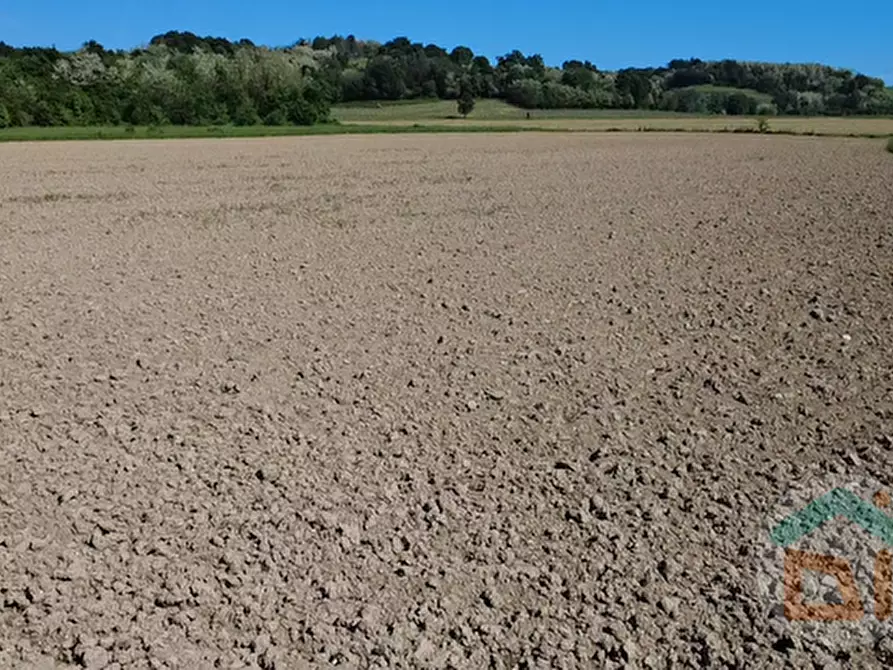Immagine 2 di Terreno in vendita  in Via Blanchis a Mossa