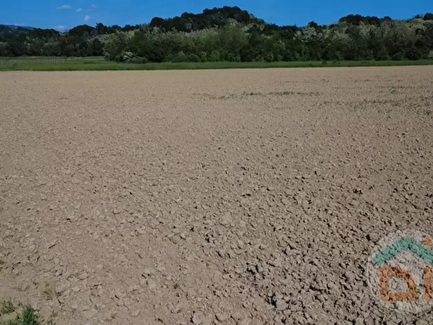 Immagine 3 di Terreno in vendita  in Via Blanchis a Mossa