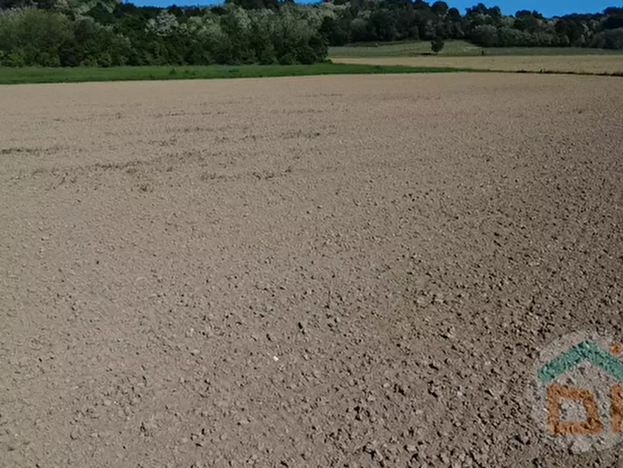 Immagine 4 di Terreno in vendita  in Via Blanchis a Mossa