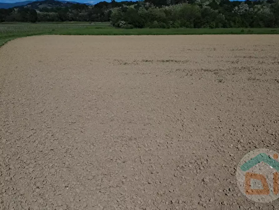 Immagine 5 di Terreno in vendita  in Via Blanchis a Mossa