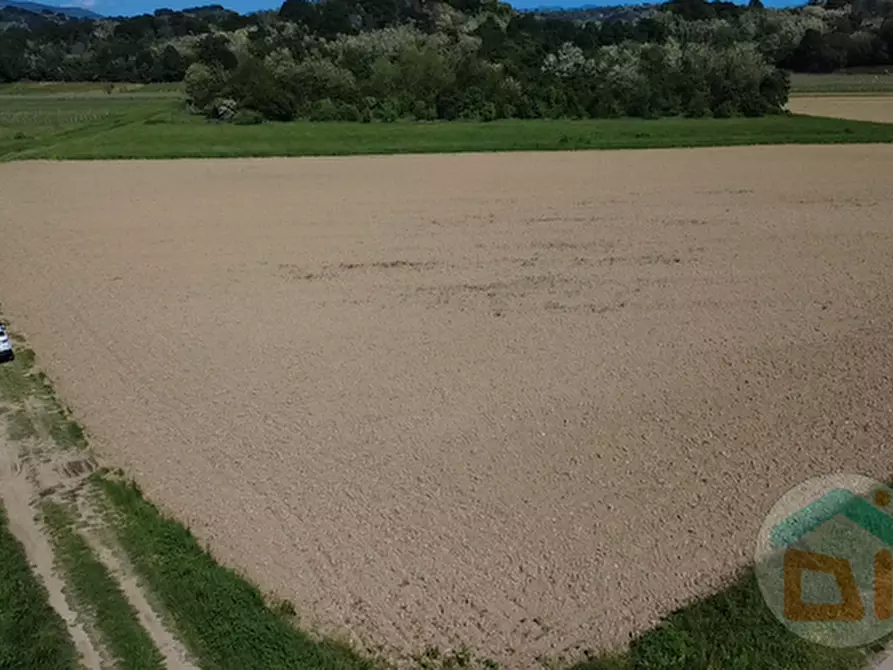 Immagine 6 di Terreno in vendita  in Via Blanchis a Mossa