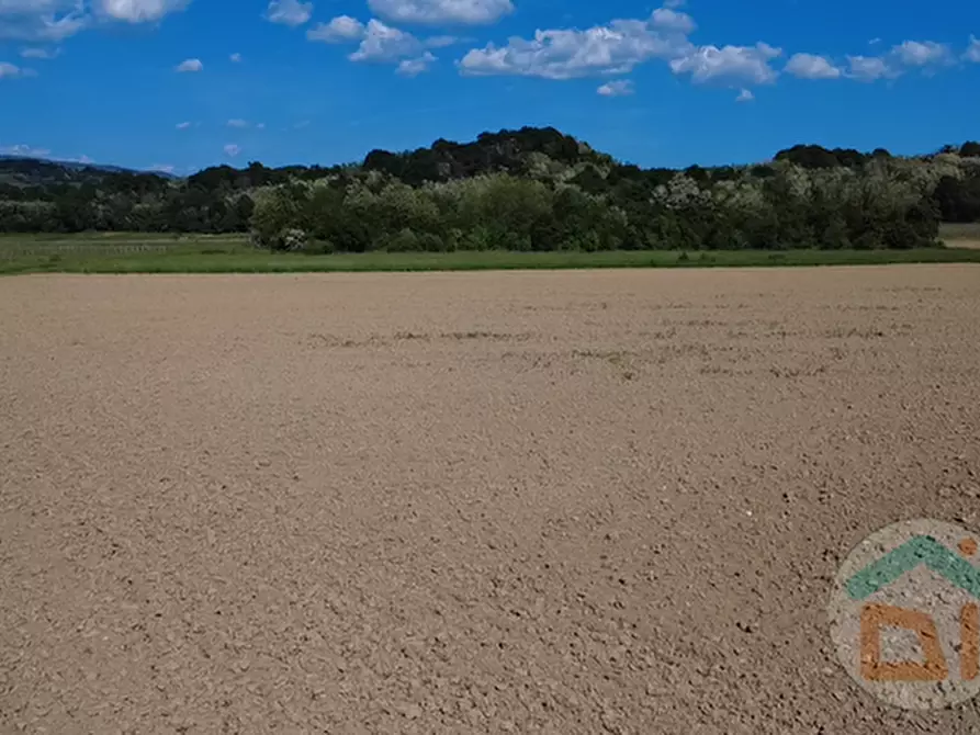 Immagine 7 di Terreno in vendita  in Via Blanchis a Mossa