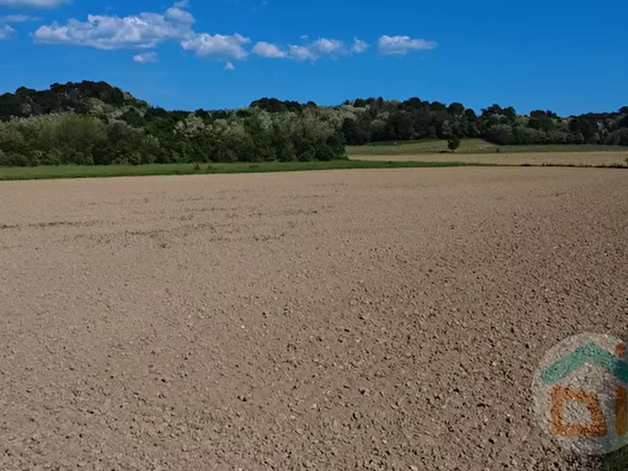 Immagine 8 di Terreno in vendita  in Via Blanchis a Mossa