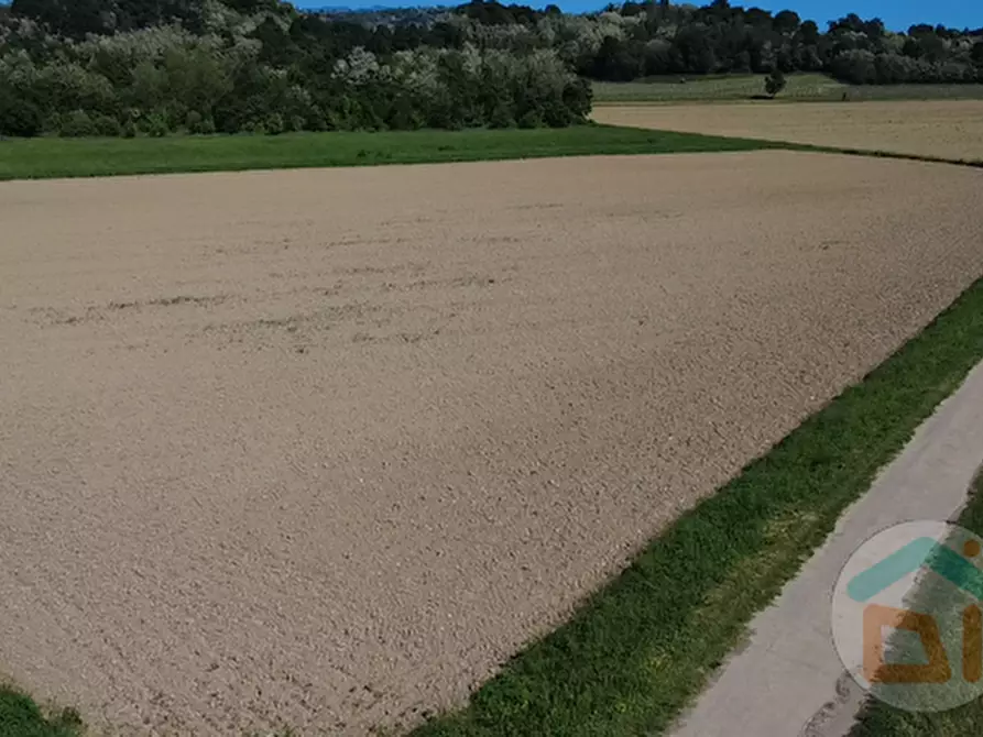 Immagine 9 di Terreno in vendita  in Via Blanchis a Mossa