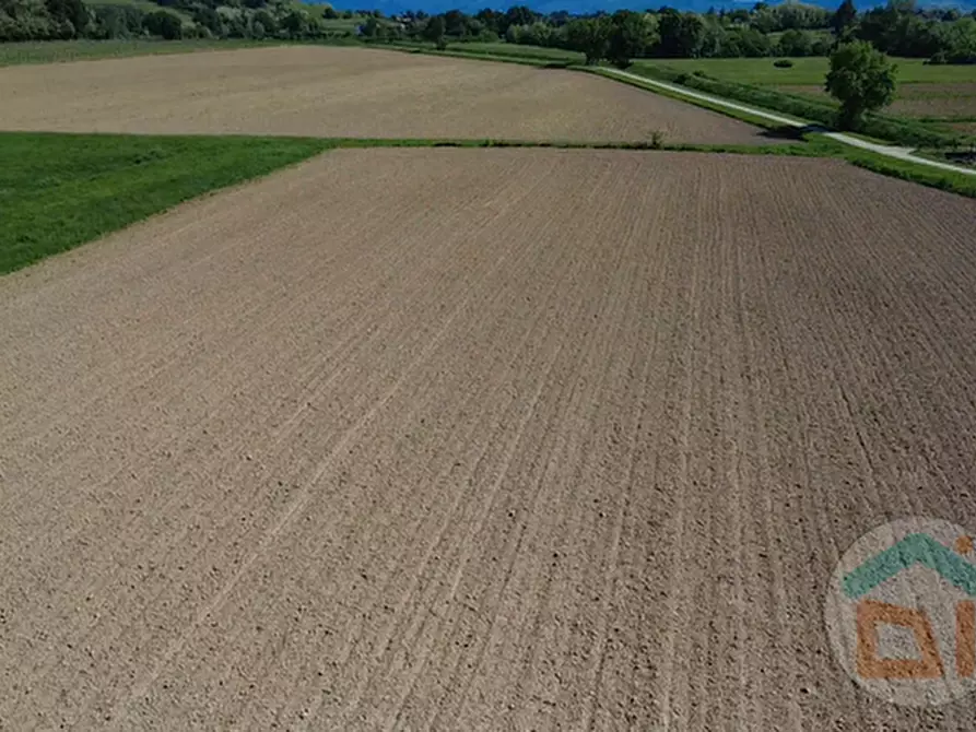 Immagine 14 di Terreno in vendita  in Via Blanchis a Mossa