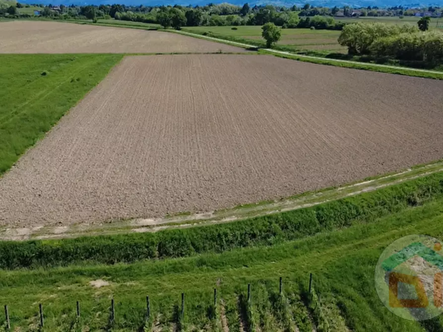 Immagine 15 di Terreno in vendita  in Via Blanchis a Mossa