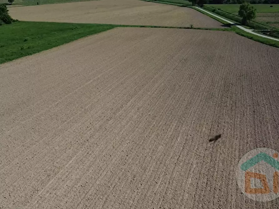 Immagine 16 di Terreno in vendita  in Via Blanchis a Mossa