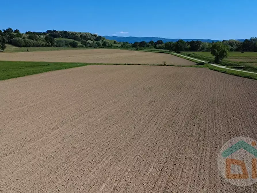 Immagine 17 di Terreno in vendita  in Via Blanchis a Mossa