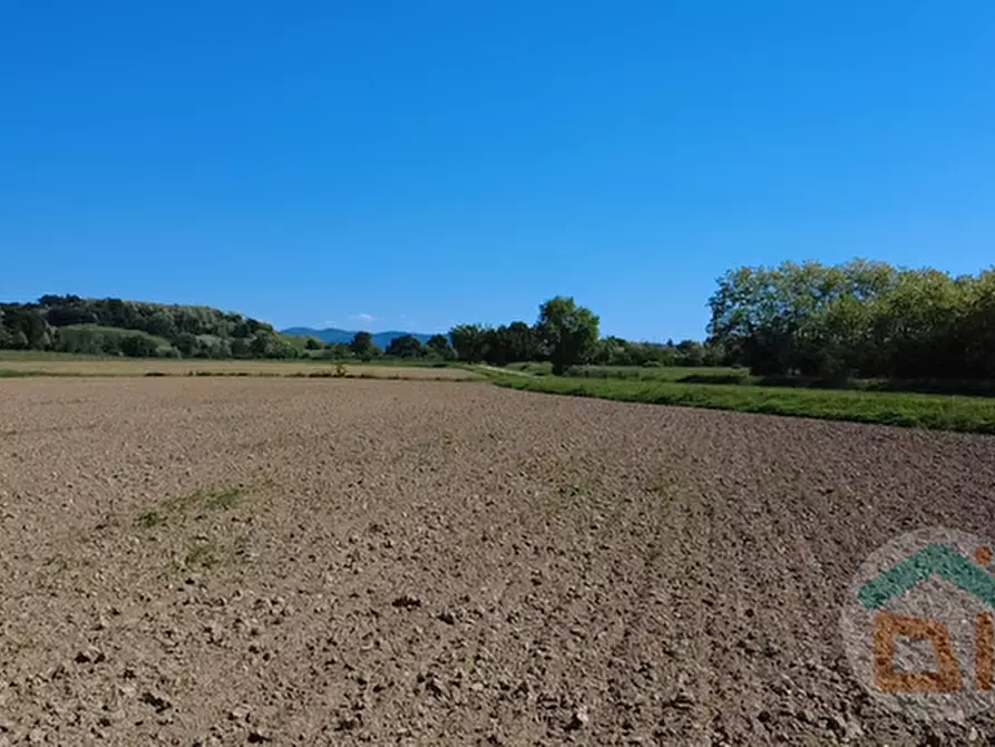 Immagine 19 di Terreno in vendita  in Via Blanchis a Mossa