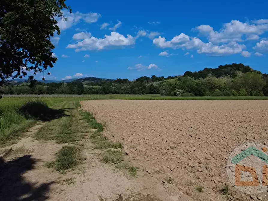 Immagine 20 di Terreno in vendita  in Via Blanchis a Mossa