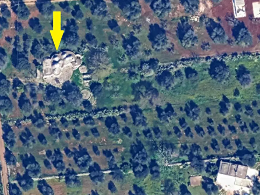 Immagine 2 di Rustico / casale in affitto  a San Michele Salentino