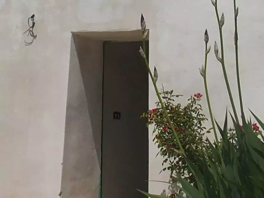 Immagine 14 di Rustico / casale in affitto  a San Michele Salentino