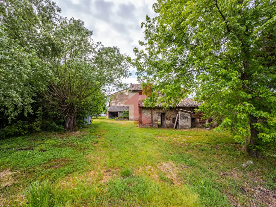Immagine 53 di Rustico / casale in vendita  in Strada Toccalmatto a Fontanellato