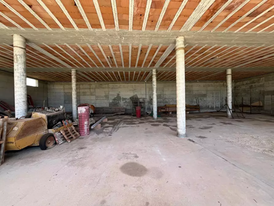 Immagine 11 di Villa in vendita  in Via Provinciale Gallipoli a Parabita