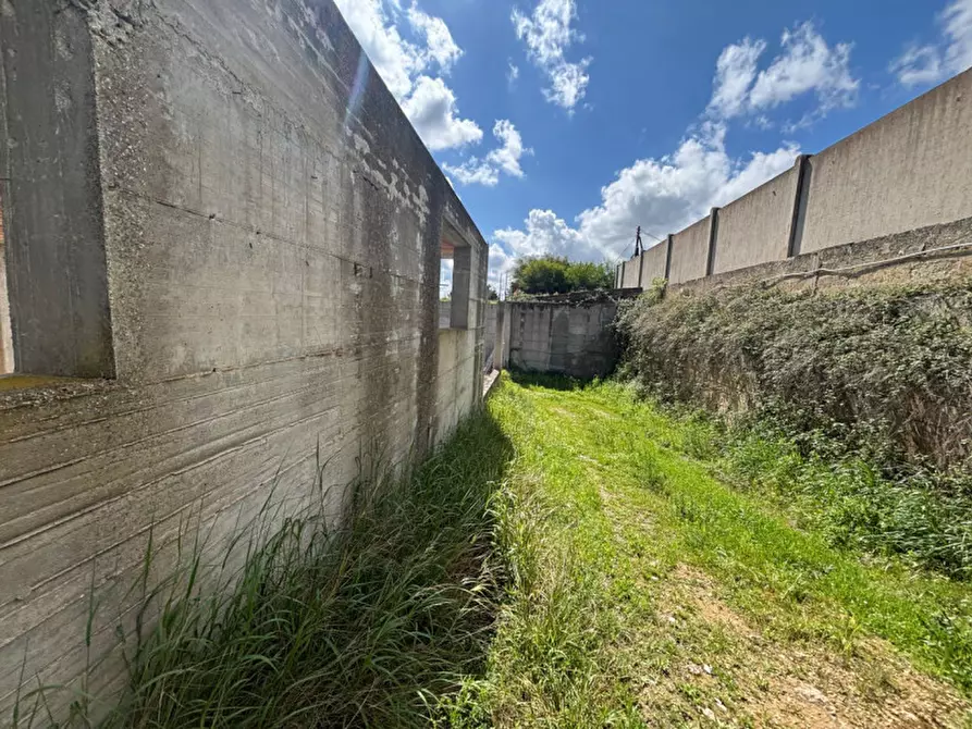 Immagine 19 di Villa in vendita  in Via Provinciale Gallipoli a Parabita