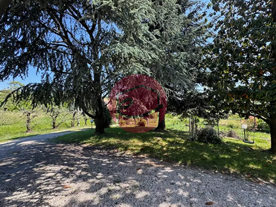 Immagine 4 di Casa indipendente in vendita  a Roncofreddo