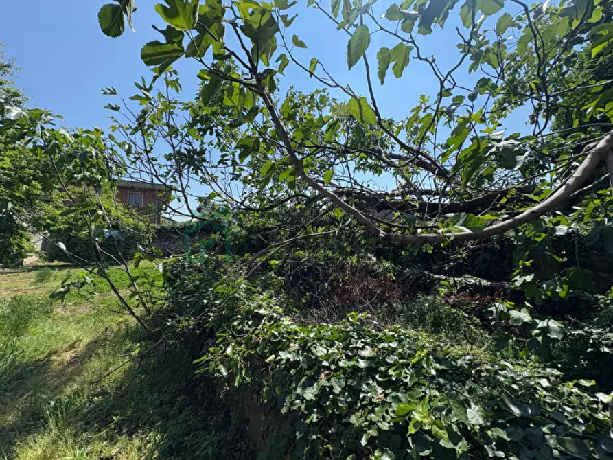 Immagine 13 di Villetta a schiera in vendita  in Via Galileo Galilei a Zevio