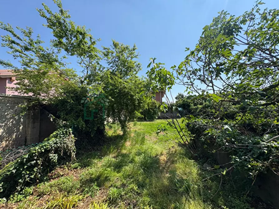 Immagine 15 di Villetta a schiera in vendita  in Via Galileo Galilei a Zevio