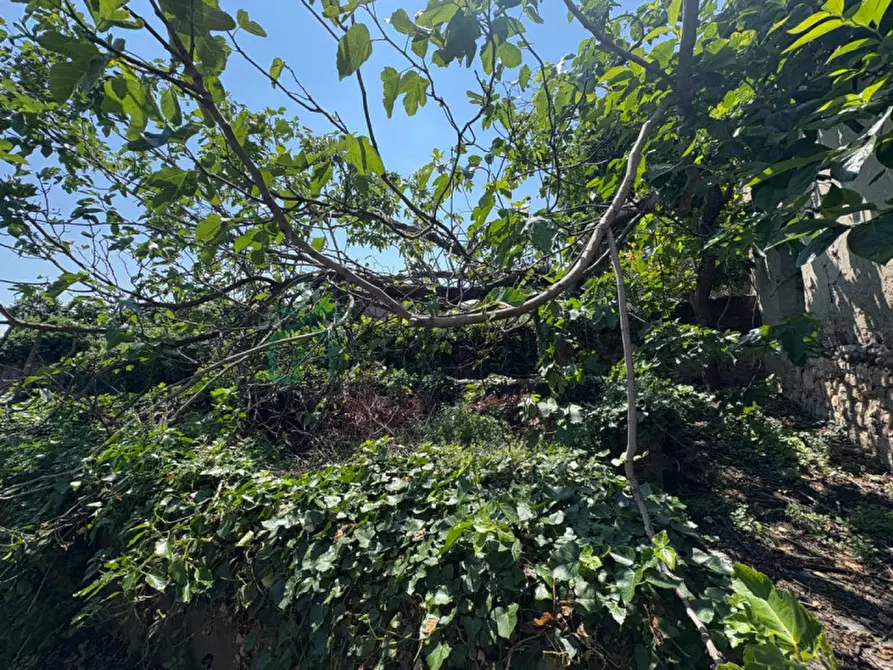 Immagine 16 di Villetta a schiera in vendita  in Via Galileo Galilei a Zevio