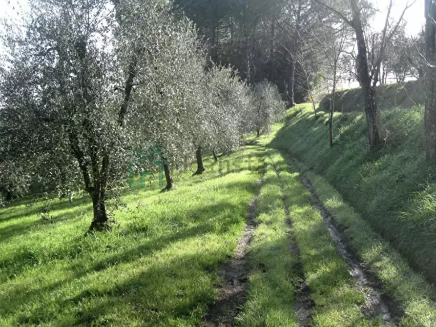 Immagine 5 di Terreno in vendita  in Via Giara di Sotto a Illasi