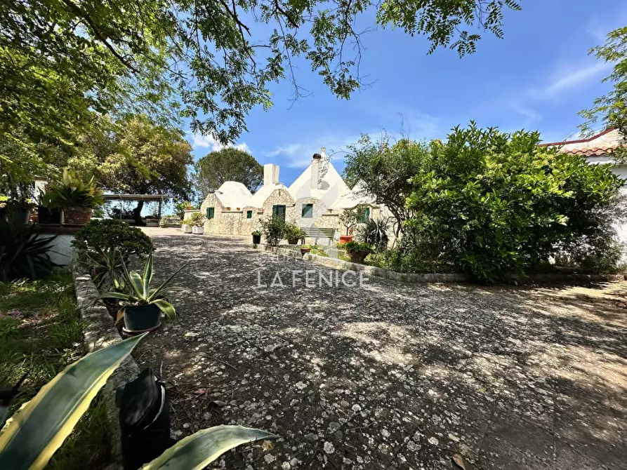 Immagine 2 di Rustico / casale in vendita  in lamia vecchia a Martina Franca