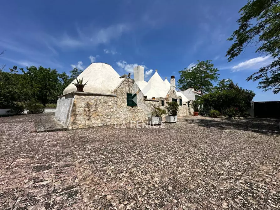Immagine 3 di Rustico / casale in vendita  in lamia vecchia a Martina Franca