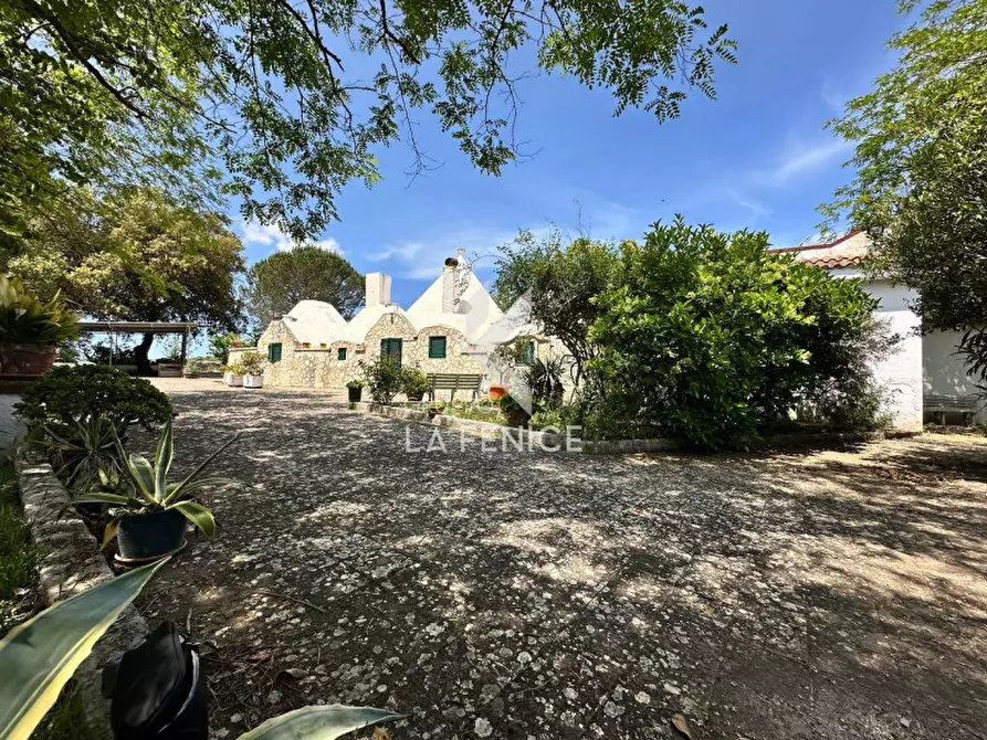 Immagine 4 di Rustico / casale in vendita  in lamia vecchia a Martina Franca