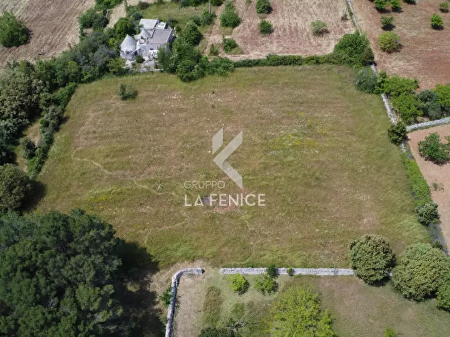 Immagine 20 di Rustico / casale in vendita  in lamia vecchia a Martina Franca