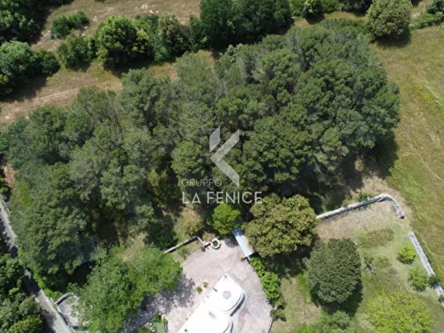 Immagine 22 di Rustico / casale in vendita  in lamia vecchia a Martina Franca