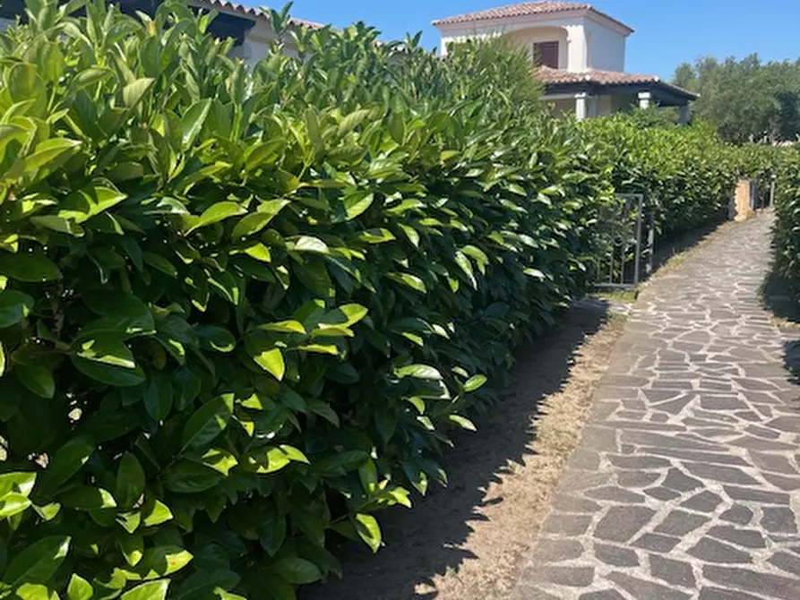 Immagine 41 di Villa in vendita  in traversa di lu pitrali 3 a San Teodoro