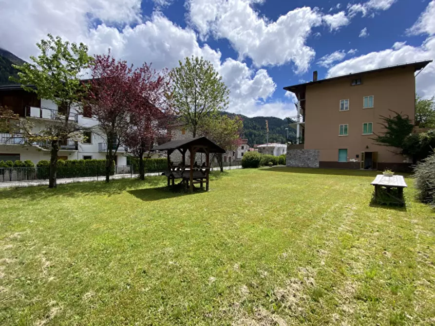 Immagine 23 di Appartamento in vendita  in Via Giovanni Da Rin Fioretto,20 a Vigo Di Cadore