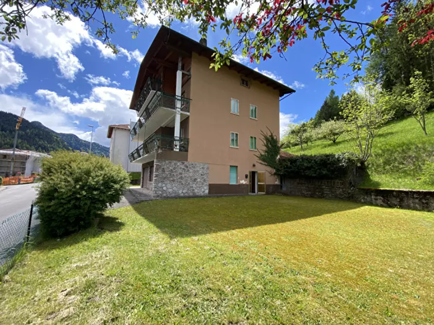 Immagine 24 di Appartamento in vendita  in Via Giovanni Da Rin Fioretto,20 a Vigo Di Cadore