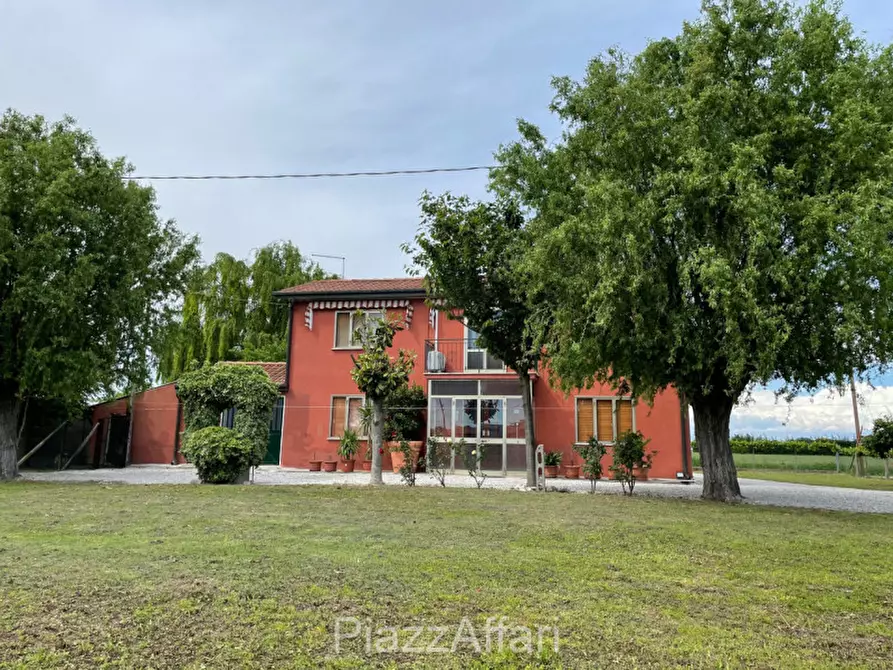 Immagine 1 di Casa indipendente in vendita  in Codevigo Via Vallona a Codevigo