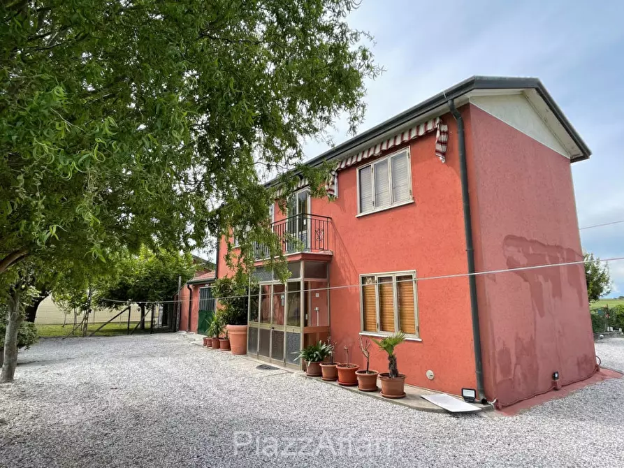 Immagine 5 di Casa indipendente in vendita  in Codevigo Via Vallona a Codevigo
